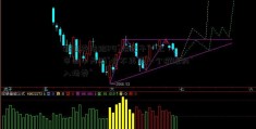 新证券法给IPO“换尺子” “上市四小天鹅”将不再是一个耀眼的“入场券”