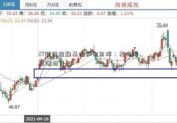 ST银行金融基础知识东洋：发布股东增持计划