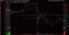 中国工商银行外汇牌价(110029基金今天净值)