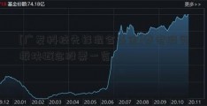 [广发科技先锋混合基金]养老服务板块概念股票一览  