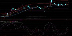 个人信用贷款骗术方案案例（个人信用贷款真实星徽精密案例）