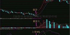 [金融专业课程]中微公司股票价格