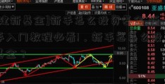 [建新基金]新手怎么投资基金,新手入门教程必看!，新手怎怎么投资基金？