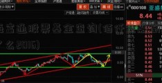 海富通股票基金查询(佰仟金融倒闭了么2016)