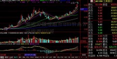 新股坤恒顺维787283行业分国泰沪深300析