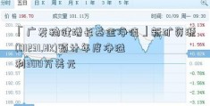 「广发稳健增长基金净值」新矿资源(01231.HK)预计年度净溢利300万美元