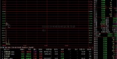 002129中环股份股票(国富弹性)